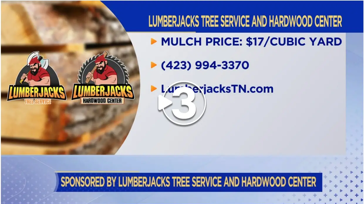 Lumberjacks Tree Service and Hardwood Center logo with mulch price $17/cubic yard, contact (423) 994-3370, website LumberjacksTN.com