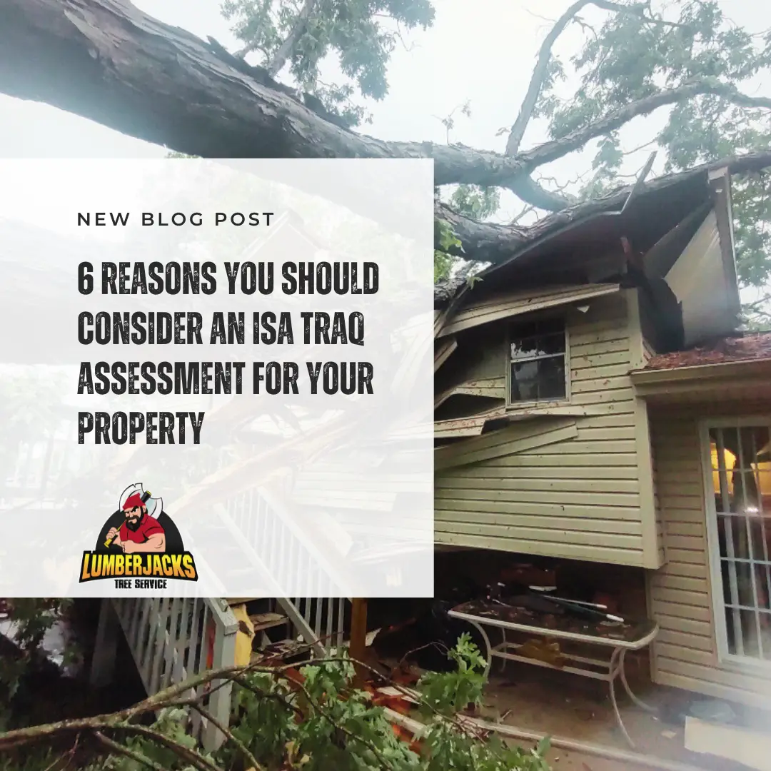 Large fallen tree causing structural damage to a residential house, illustrating the need for an ISA TRAQ assessment by LumberJacks Tree Service
