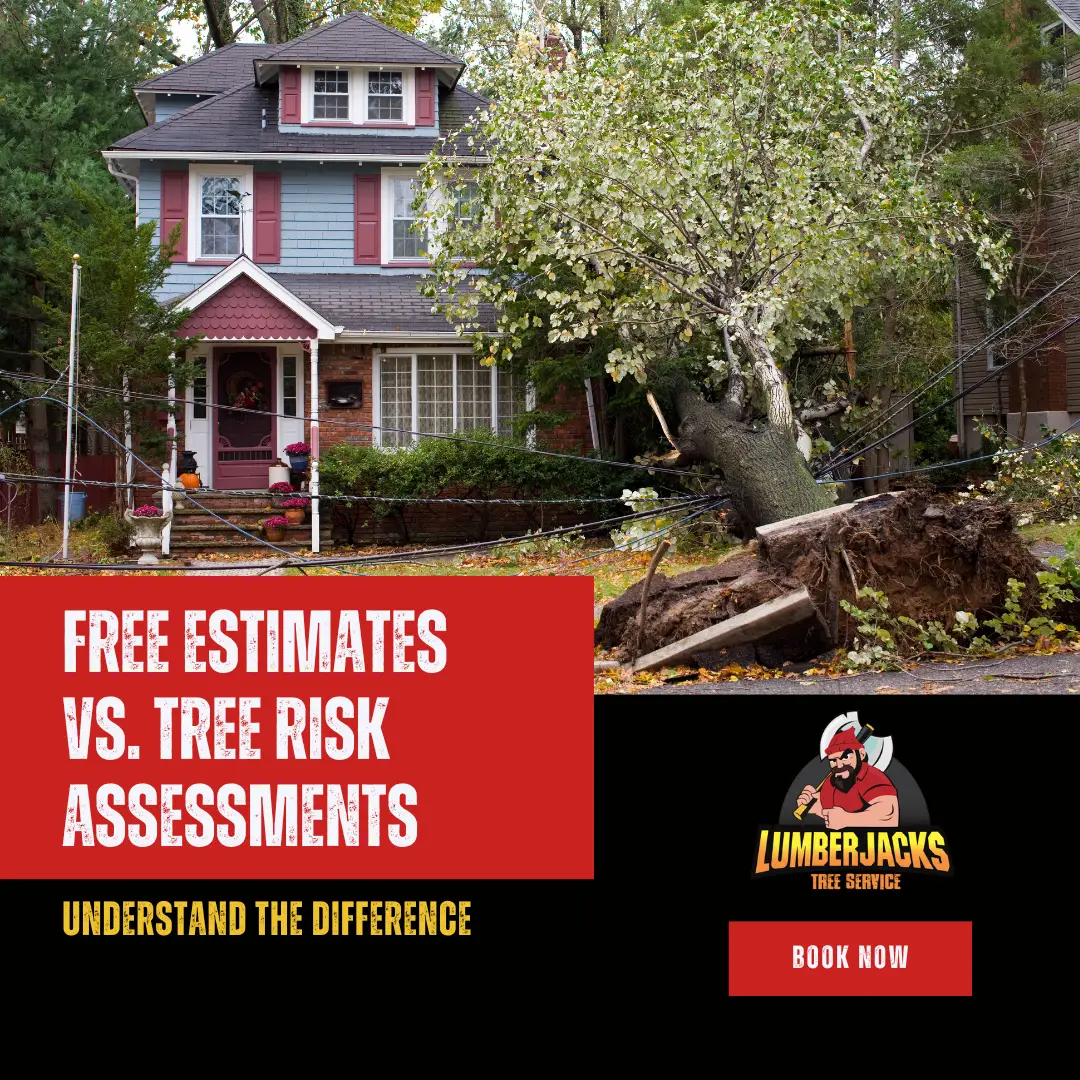 Uprooted tree fallen across power lines near a two-story house with blue siding and red shutters, demonstrating need for professional tree risk assessment services