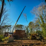 Tree removal service with crane lifting large branch in residential area, clear blue sky background