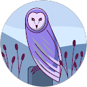 Fabra S. profile picture