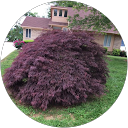 Margaret J. profile picture