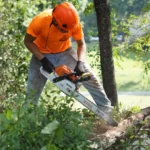 Tree service worker in orange safety helmet cutting tree trunk with STIHL chainsaw in outdoor setting