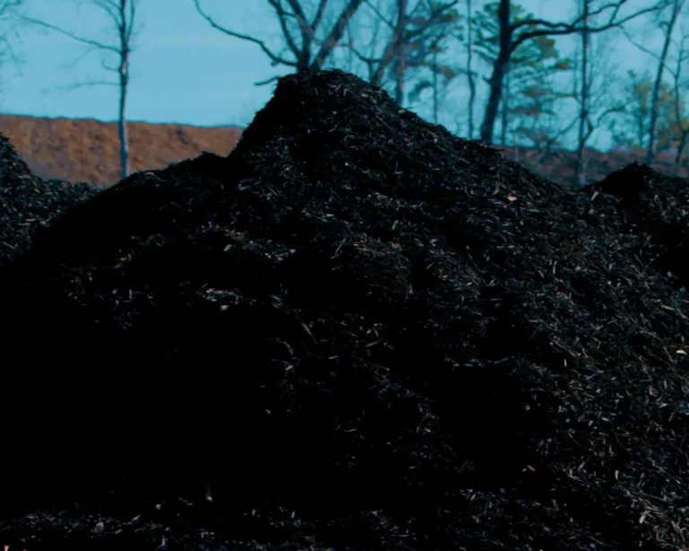 High contrast black dyed hardwood mulch Chattanooga