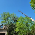 Residential tree removal operation with crane lifting large tree section; clear blue sky, house, and green trees in background.
