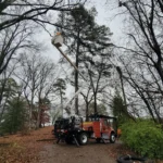 Certified arborist using bucket truck for tree trimming near residential property with chain-link fence and fall foliage