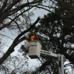 Arborist in orange safety vest and green helmet operating TERCX tree service lift bucket truck to trim large tree branches