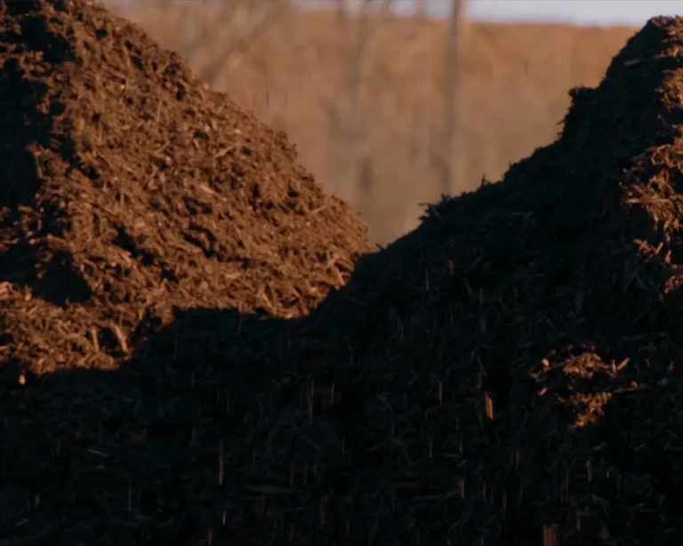 Lumberjacks double ground mulch close up