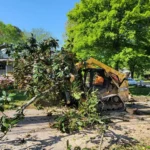 Yellow skid steer removing large fallen tree in residential neighborhood by tree service professionals