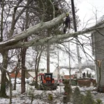 Certified arborist removing large fallen tree branch in snowy residential neighborhood with safety gear