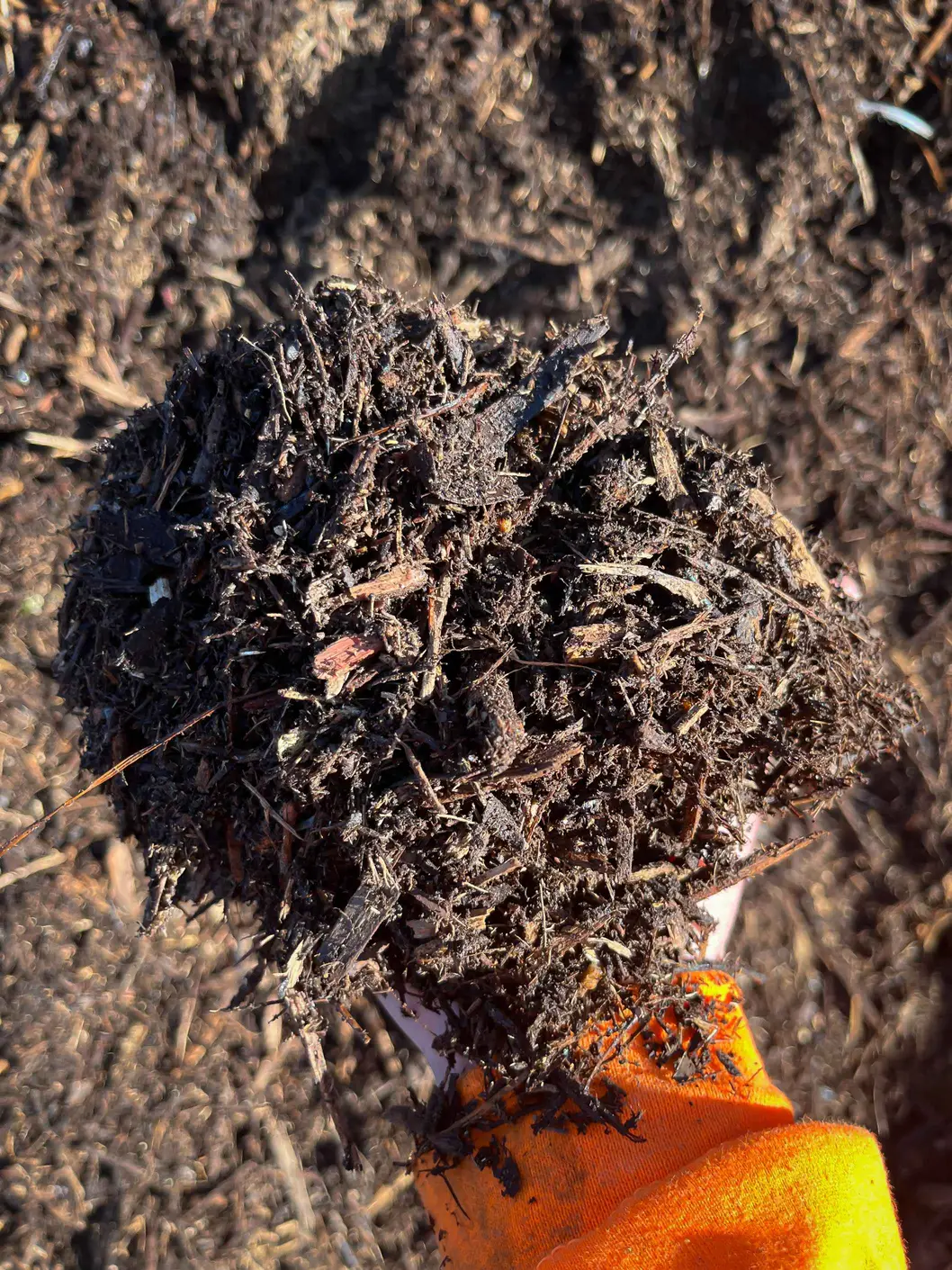 Lumberjacks double ground mulch close up