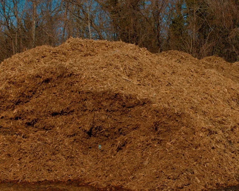 Lumberjacks double ground mulch close up
