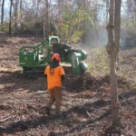 Tree service worker in orange shirt and helmet operating green stump grinder machine (SG1012) for tree stump removal in wooded area with fallen leaves