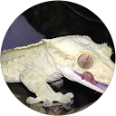 justone M. profile picture